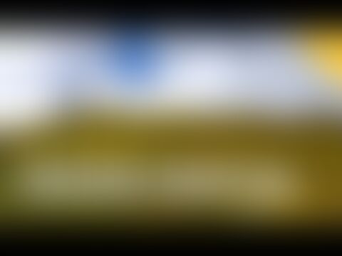 low-preview-hqdefault