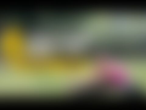 low-preview-Click on the image to view the Video