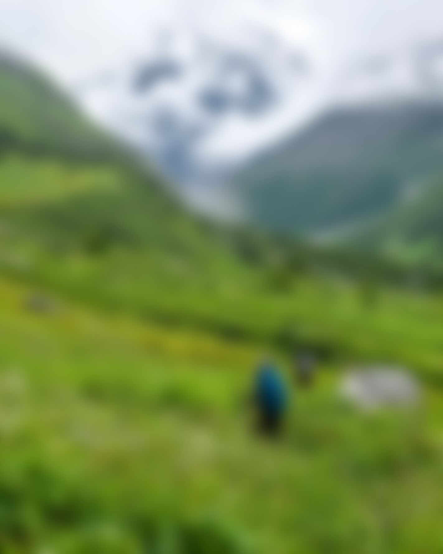 low-preview-ziedippdc1huksif valleyofflowers nithesh july2021  53 