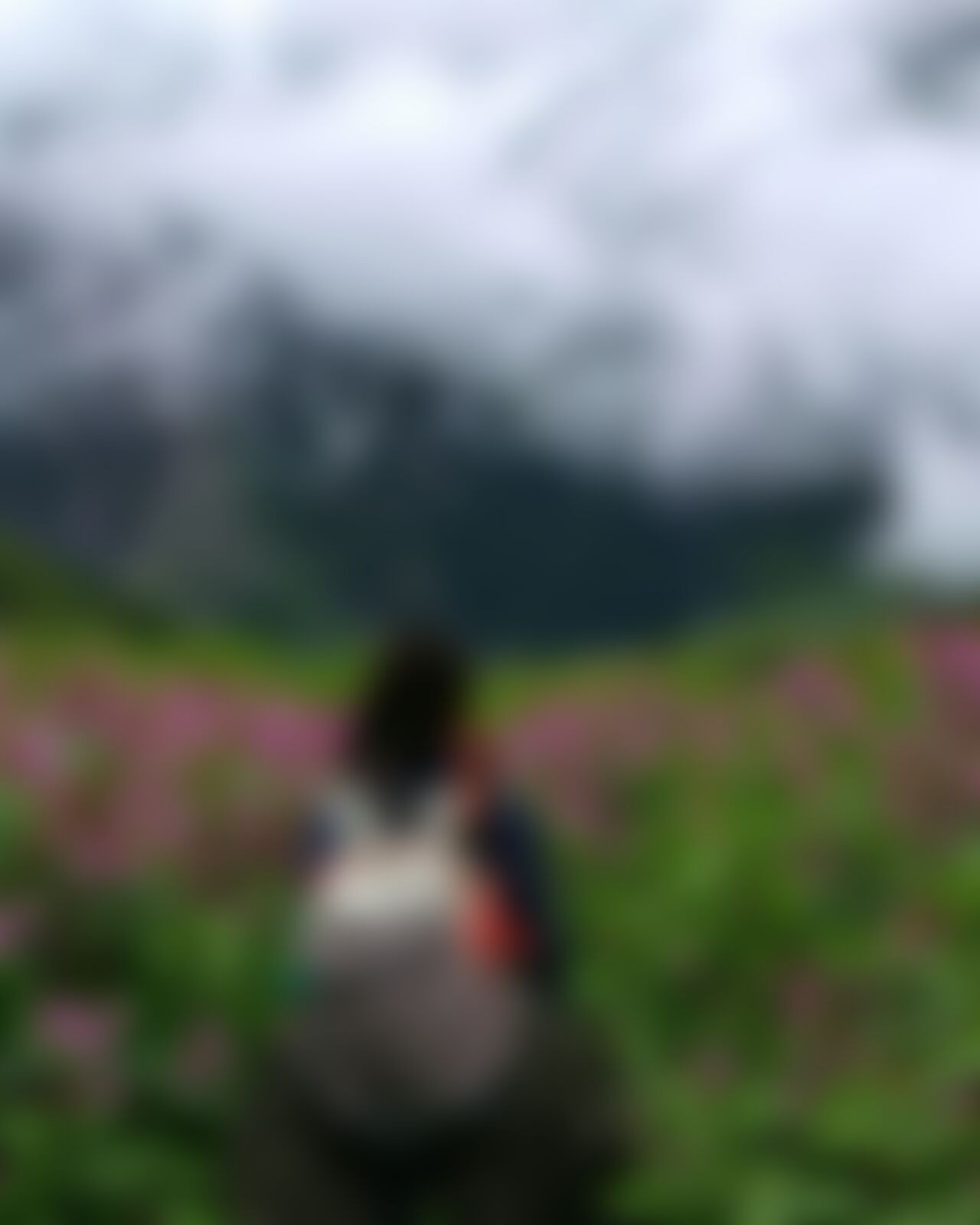 low-preview-ziedivpdc1huksih valleyofflowers vof kentpawar hikeronthevalleyofflowerstrail 1 