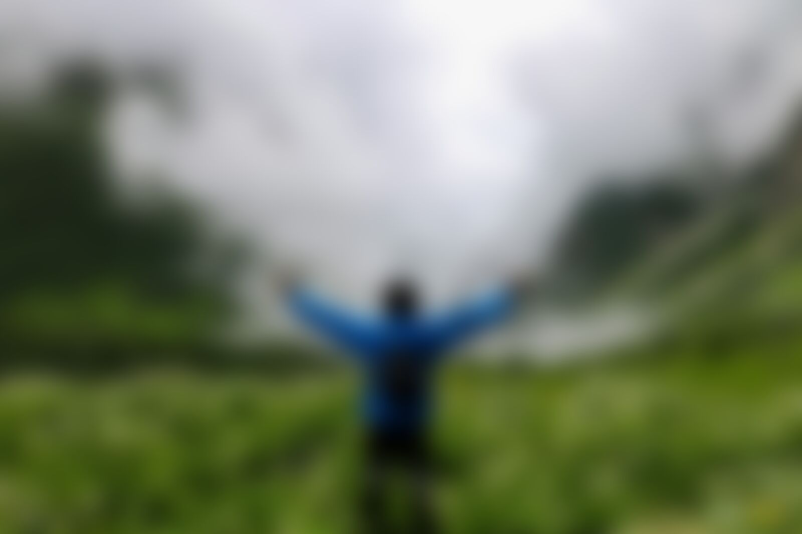 low-preview-ziipfppdc1hukucc valleyofflowers vof arpitagarwal inwonderland 1 