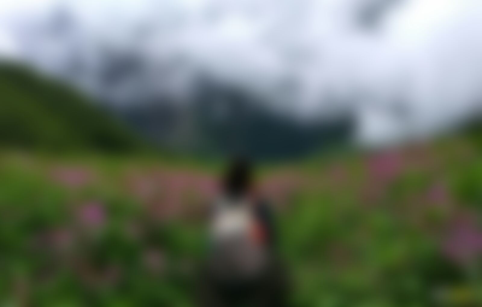 low-preview-ziipgppdc1hukucn valleyofflowers vof kentpawar hikeronthevalleyofflowerstrail 1 