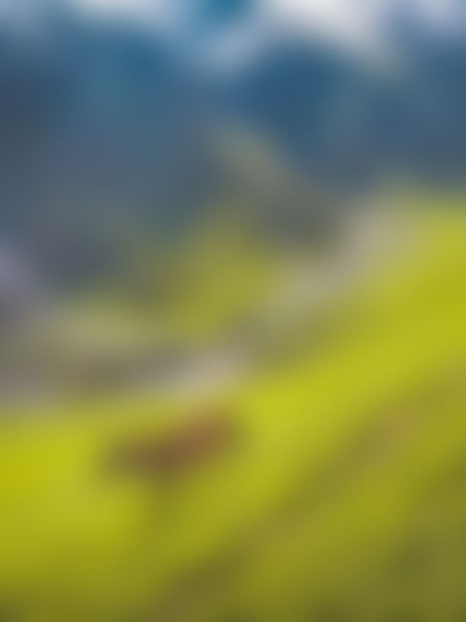 low-preview-zjs7semtzajocg6t kashmirgreatlakes kgl sureshkerkatta original  1 